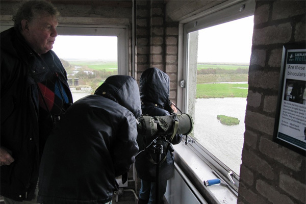 Bird watching with Hugh Buck