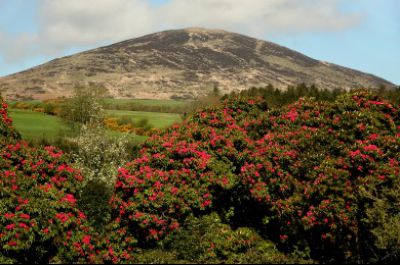 July two-night stay just £380